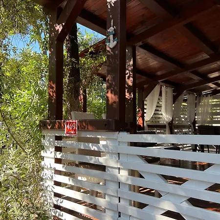 דירה Pine And Lavander ביוגראד נה מורו