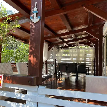 Pine And Lavander דירה